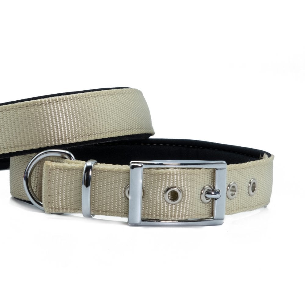 Doggie Elite Webbing Dog Collar 2.5x42-50cm