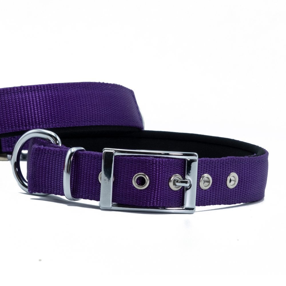 Doggie Elit Dokuma Köpek Tasması 2.5x42-50cm
