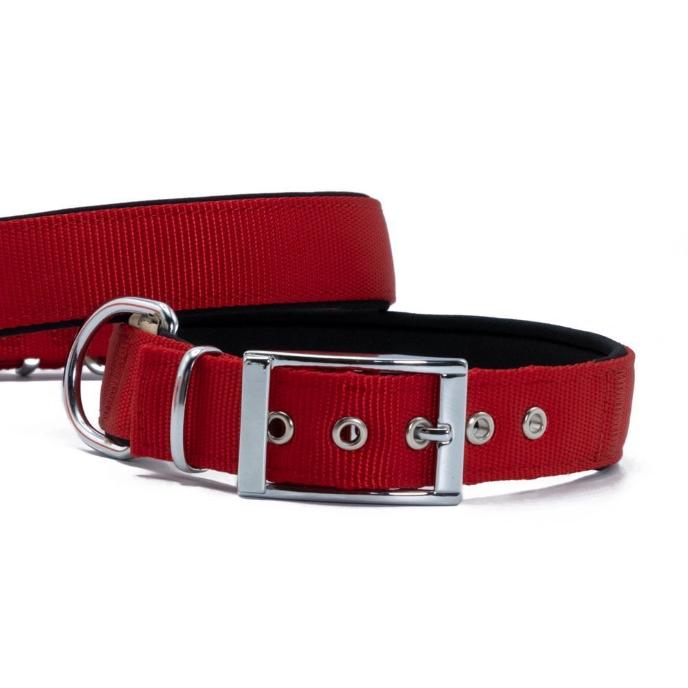 Doggie Elit Dokuma Köpek Tasması 3x42-50cm
