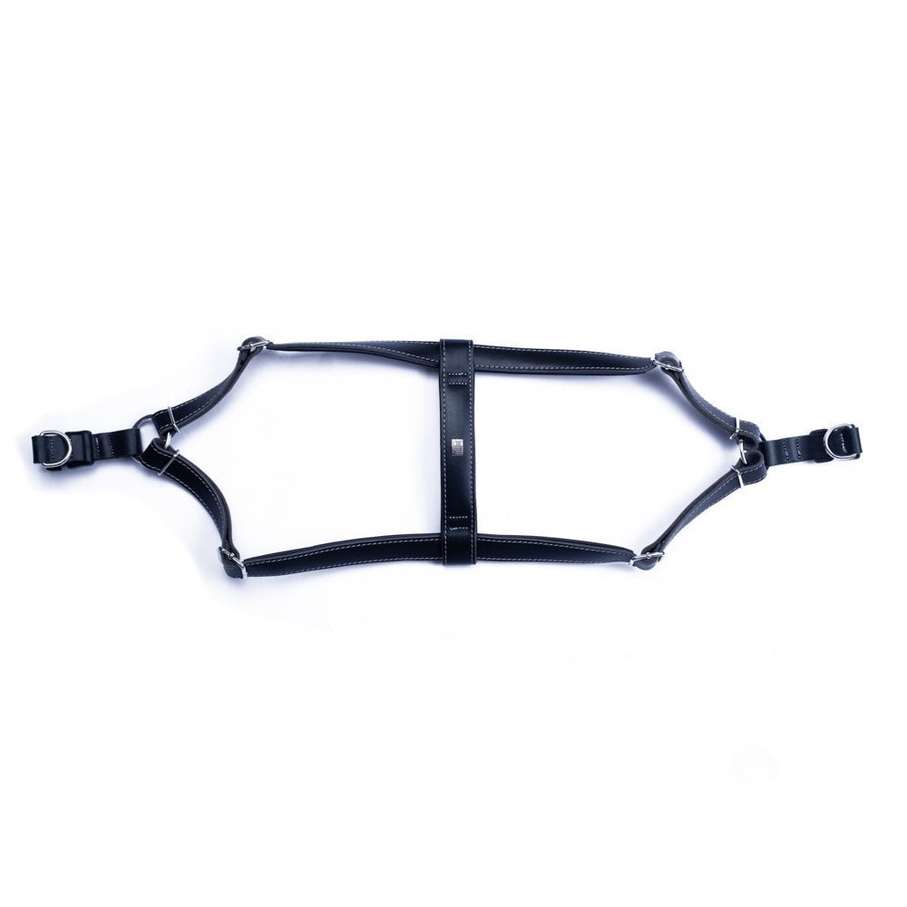 Doggie Ronin Deri Köpek Göğüs Tasması L 55-65cm