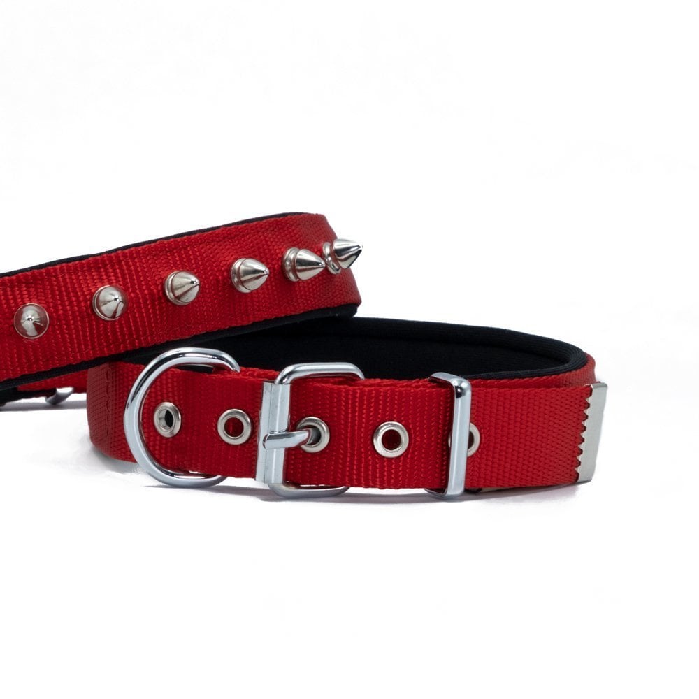 Doggie Çivili Dokuma Köpek Tasması 2.5x42-50cm