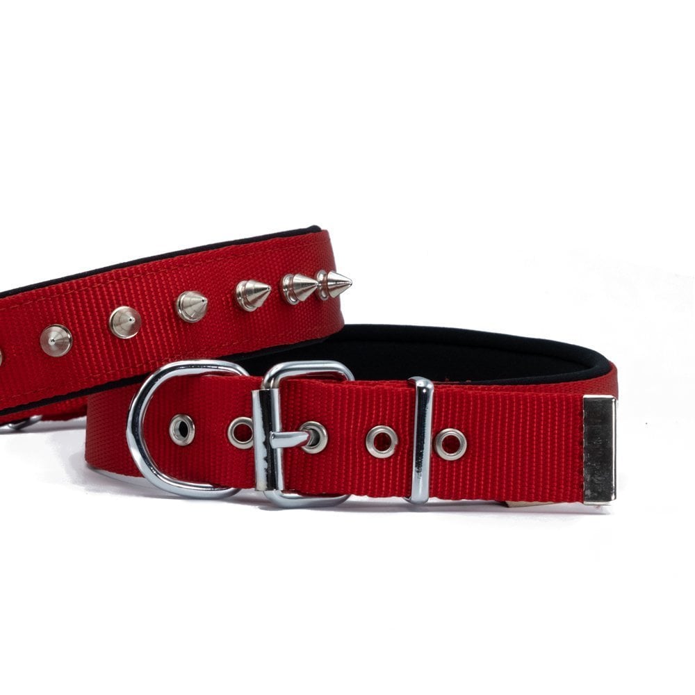 Doggie Çivili Dokuma Köpek Tasması 3x47-55cm